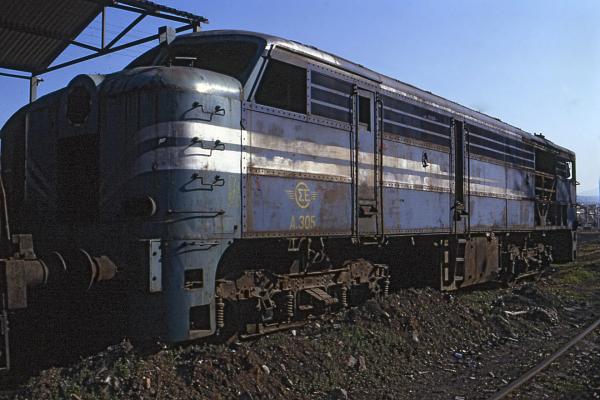 ALCo_A305