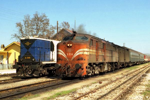 ALCO_A304_Amyndaio