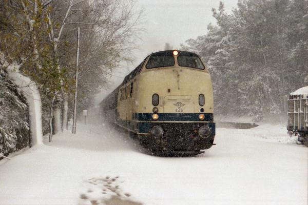 AgStef_Snow_NK01